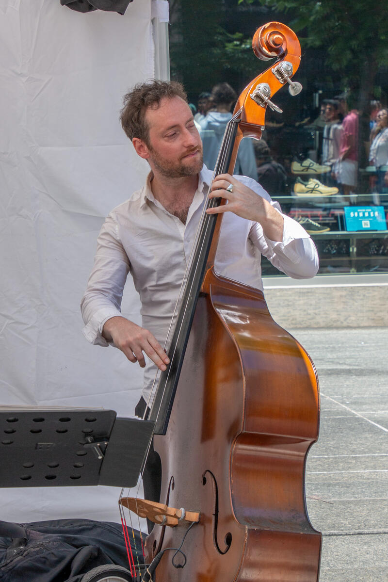 double bass