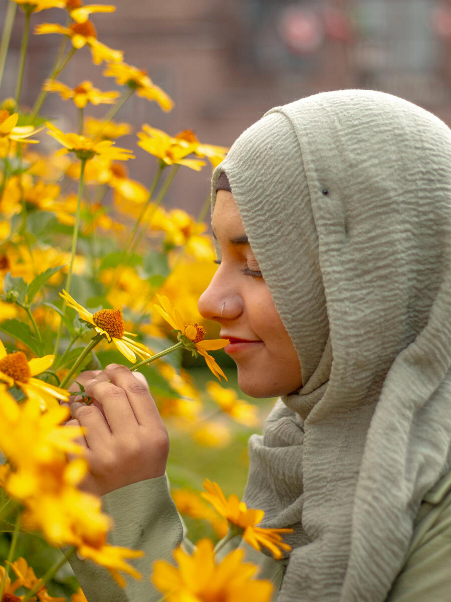 hafsa flowers